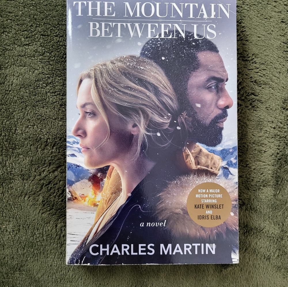 The Mountain Between Us book by Charles Martin